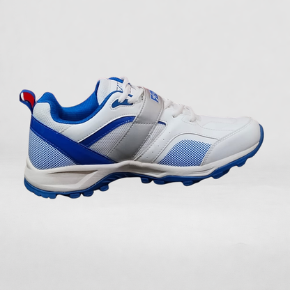 FG Don Cricket Shoes White Bluue 999