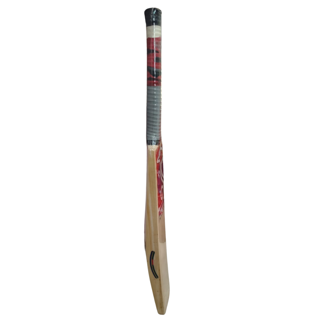 PRO PLAYERS AURA SENIOR CRICKET BAT
