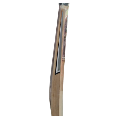 SF StanFord English  Willow Bat