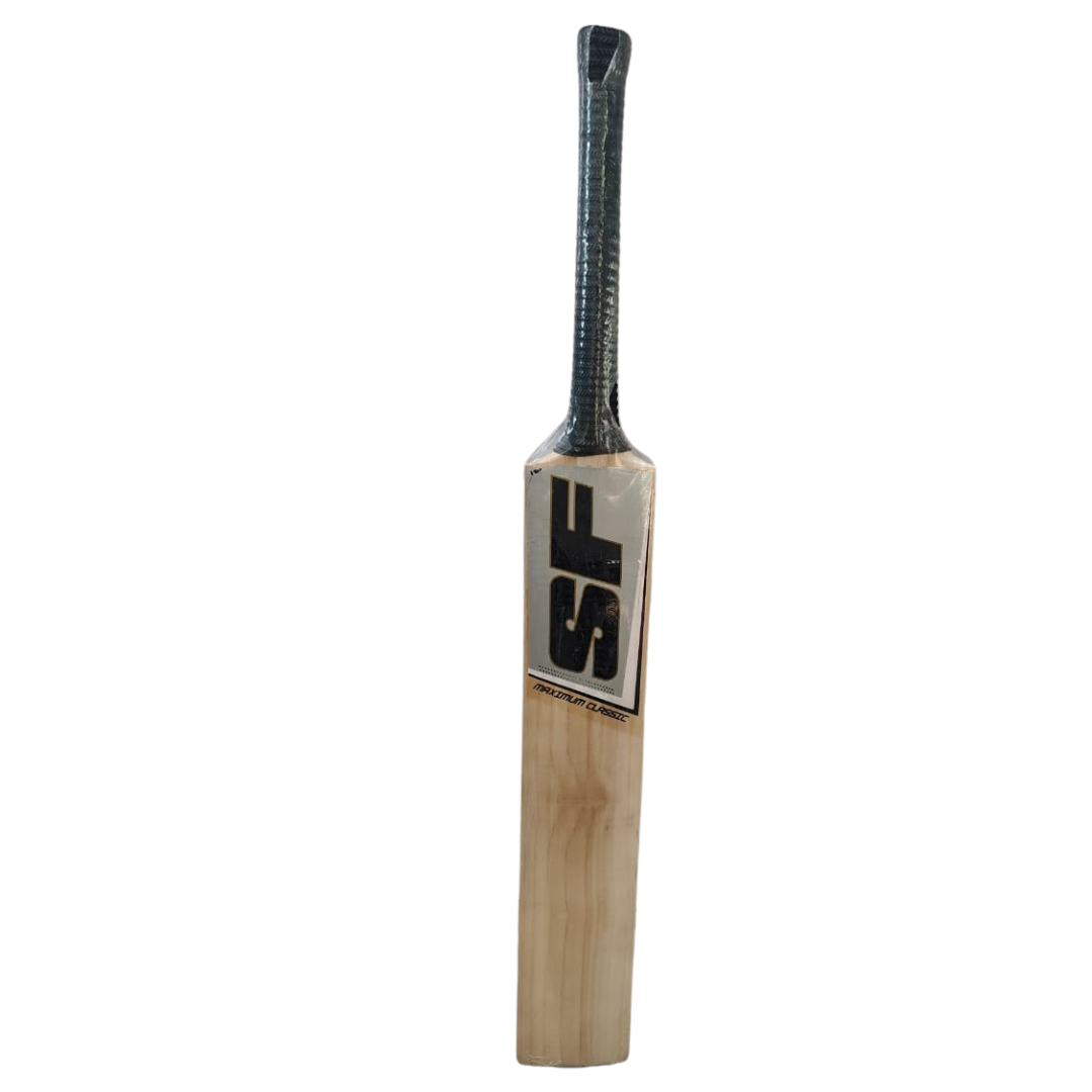 SF StanFord English  Willow Bat