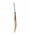 GM Diamond Cricket Bat